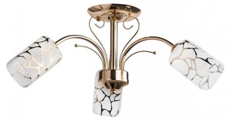 Люстра на штанге MW-Light Олимпия 14 638010203