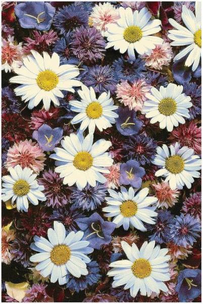 Ковер интерьерный (300x400 см) Hunnu
