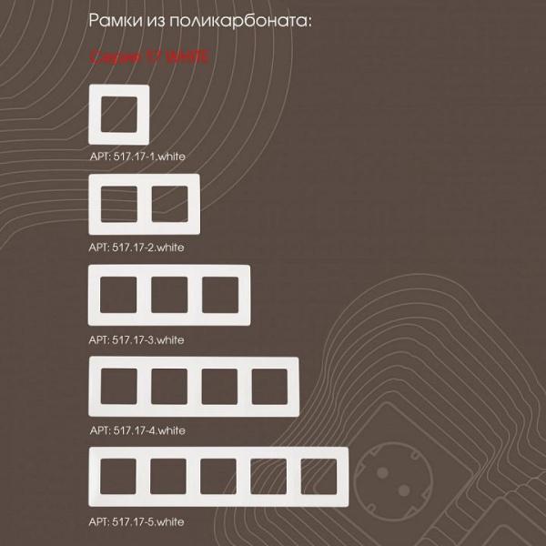 Розетка Ethernet RJ-45 без рамки Arte Milano am-217 217.45-2.white